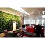 Raimond Suspension by Moooi