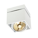 Kardamod Ceiling Light