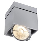 Kardamod AR111 Ceiling Light