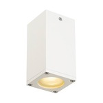 Theo Outdoor Ceiling Light