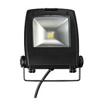 LED 10-Watt Flood Light