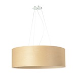 Funk 60/20 Pendant