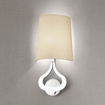 Slight Wall Sconce