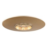 Quasar LED Ceiling Flush