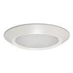 5101 5 Inch Beveled Frame Frosted Dome Lens Trim