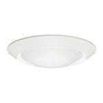 6101 Beveled Frame Frosted Dome Lens Shower Trim