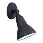 Essentials 1-Light Outdoor Wall Mount