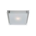 Vision Square Wall or Ceiling Mount