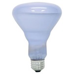 Reveal BR30 Medium Base 65W 120V