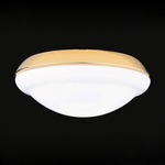 G110 Opal Low Profile Glass With Accent