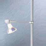 Lungo Spotlight Head