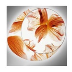 Wagashi Piccola FL Wall / Ceiling Mount