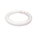 T9 Circline 4-Pin 22W 120V