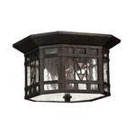 Tahoe Exterior Ceiling