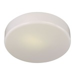 866 Ceiling Flush Mount