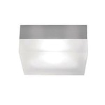 90 CF Wall / Ceiling Flush Mount
