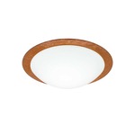 Nova Ceiling Flush Mount W / Glass Ring