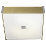 Citadel Wall / Ceiling Mount