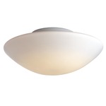 P851 Ceiling Flush Mount