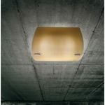 Bauta Wall / Ceiling Mount