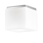 Cubi Wall / Ceiling Mount 