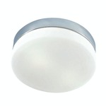 Disc Ceiling Flush Mount