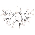 Heracleum LED Suspension