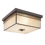 Circle Braided Ceiling Flush Mount