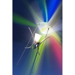 77 Moons Wall Sconce