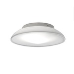 Lunex Wall / Ceiling Mount CFL