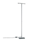 P-2455 Floor Lamp