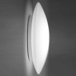 Bis Wall / Ceiling Mount