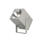 Theos Spot Ground Fixture