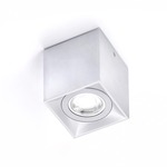 Dau Spot Ceiling Flush Mount