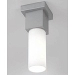 Dupla Indoor Outdoor Ceiling Light