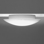 Clara Enclosed Glass Ceiling or Wall Light