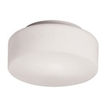 Tango LED Wall or Ceiling Light