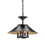 Darwin Ceiling Mount or Pendant 