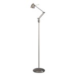 P255 Adjustable Floor Lamp