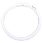 T5 Circline 2GX13 Base 22W 120V 3000K