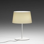 Warm Aluminum Shade Table Lamp