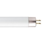 T5 Pentron Mini BiPin Base 21W 120V 3500K