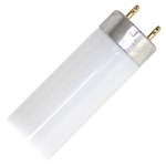 T8 Octron 800 XP Med BiPin Base 32W 120V 48in 2700K