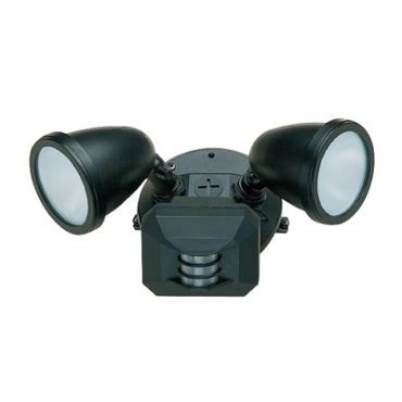 Ariel Exterior Wall Spotlight W/ Motion Detector