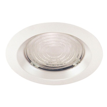 22 Series 6 Inch Fresnel Trim 22 Series 6 Inch Fresnel Trim