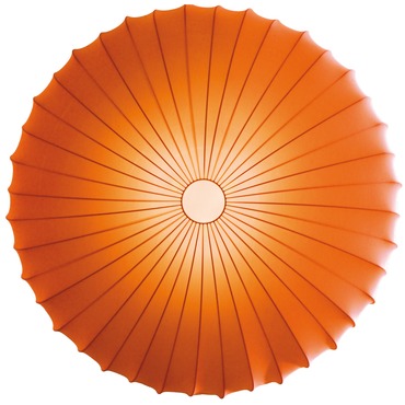 Muse Wall / Ceiling Mount