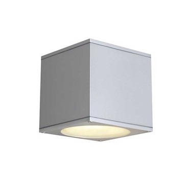Big Theo Exterior Wall Sconce