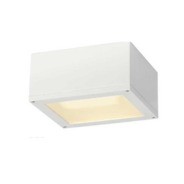 Theo CL Exterior Wall Sconce Theo CL Exterior Wall Sconce