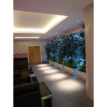 Soft Strip 12V 2.4W Warm White by Edge Lighti