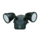 Ariel Exterior Wall Spotlight W/ Motion Detector - Black / Frosted Ariel Exterior Wall Spotlight W/ Motion Detector - Black / Frosted